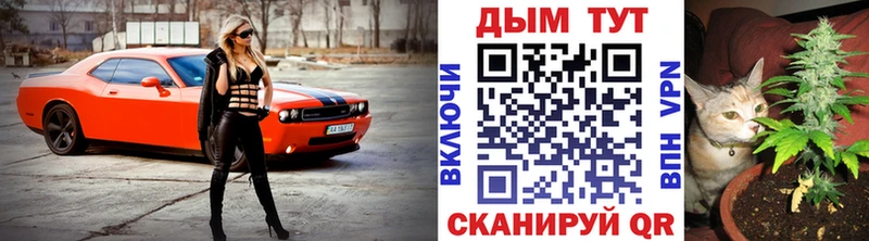 Псилоцибиновые грибы Курильск
