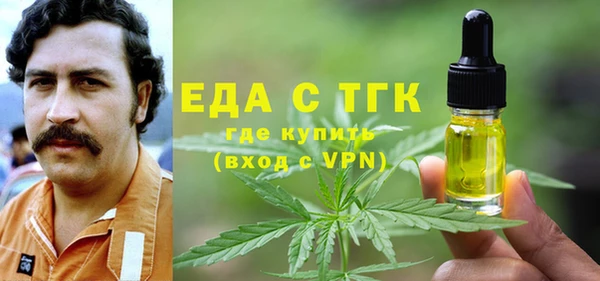 индика Медногорск