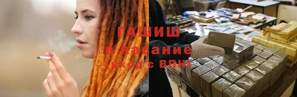 индика Медногорск