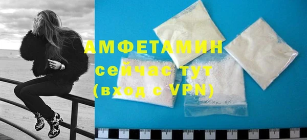 индика Медногорск