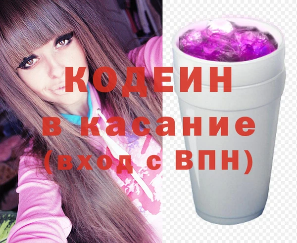 индика Медногорск