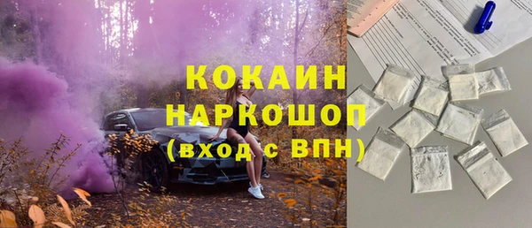 индика Медногорск
