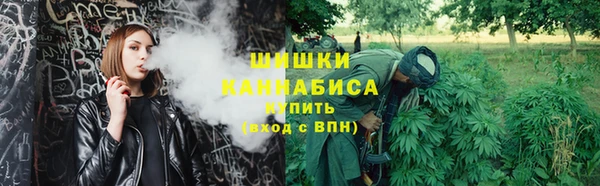 индика Медногорск