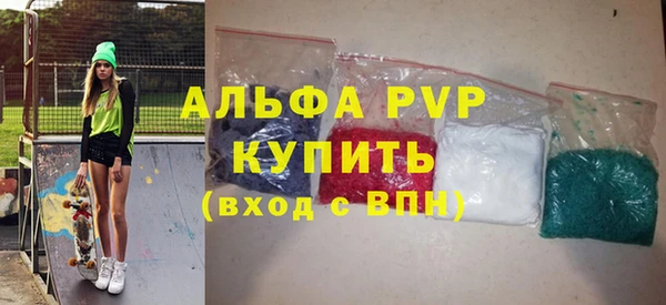 индика Медногорск