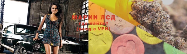 индика Медногорск