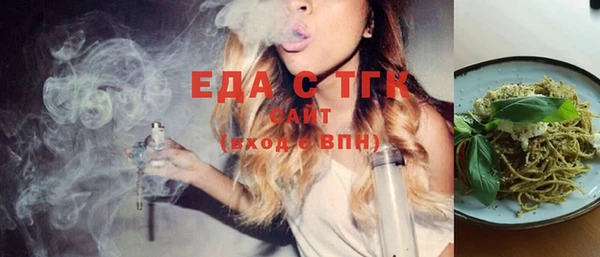 индика Медногорск