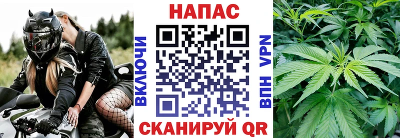 Купить где  Курильск  Канабис индика 